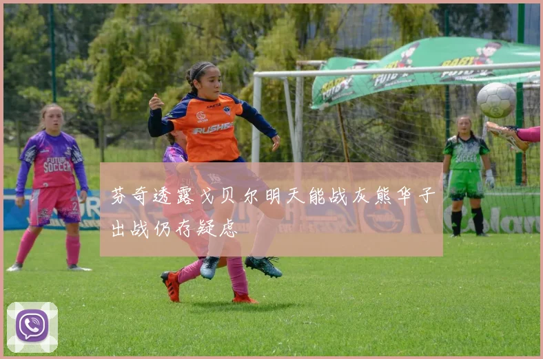 芬奇透露戈贝尔明天能战灰熊华子出战仍存疑虑