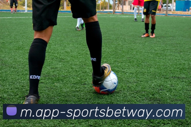 必威体育平台生态图